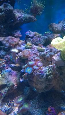WP_20150321_19_07_37_Pro.jpg