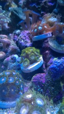 WP_20150321_19_00_48_Pro.jpg