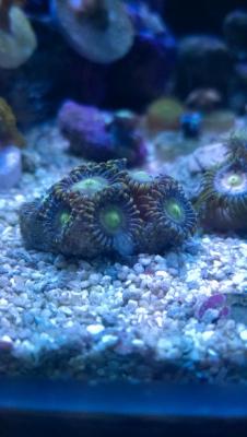 WP_20150321_19_00_04_Pro.jpg