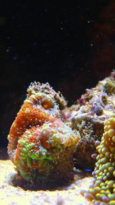 P3015201.JPG