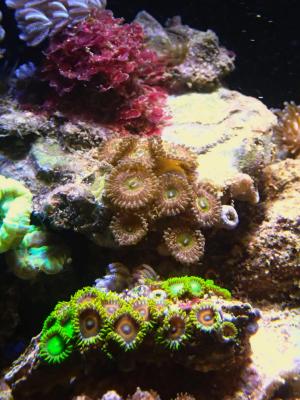 P3015250.JPG