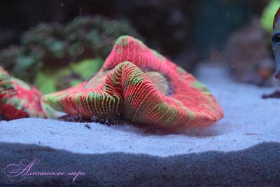 IMG_8929.jpg