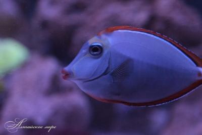 IMG_8817.jpg