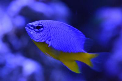 DSC_1000.JPG