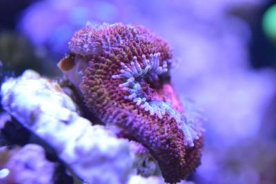 DSC_1010.JPG