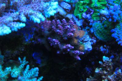 IMG_8275.jpg