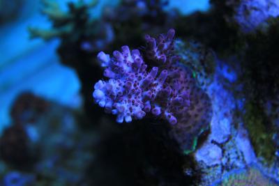 IMG_8285.jpg