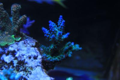 IMG_8263.jpg