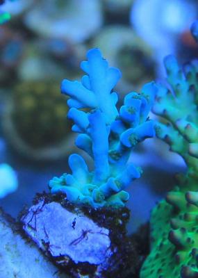 IMG_8276.jpg