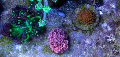 IMG_8244.jpg