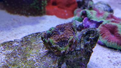 20160214_172058_resized.jpg