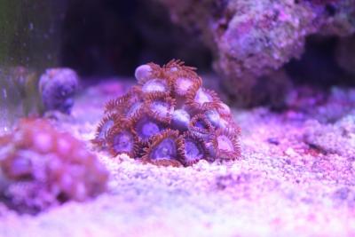 IMG_1257.jpg