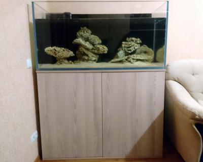 DSC_0720.JPG