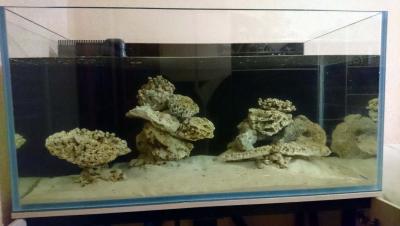 DSC_0717.JPG