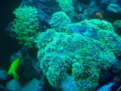 IMG_20170303_200218.jpg