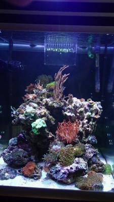 P3116392-1.JPG