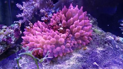 P3316584-1.JPG