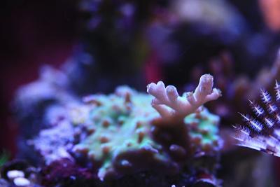 IMG_3176.jpg