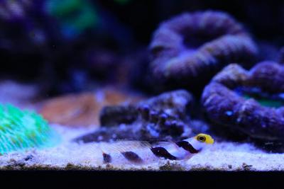 _MG_3293.jpg