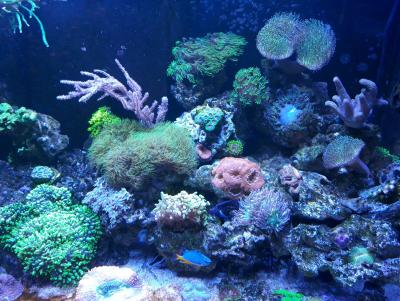 ^8D6C73580B971FA38B1C8A63F733D6374BCD0F80875AA76128^pimgpsh_fullsize_distr.jpg