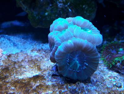 ^E6DD57D32AB35E4F47373B809F6F5D73EB4B42E956CA30F589^pimgpsh_fullsize_distr.jpg