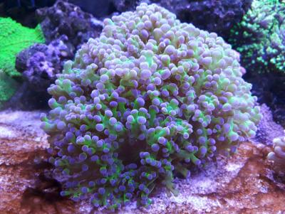 ^301D25A019F1C034BEE8A3AA373723D292C8613AB66F77B269^pimgpsh_fullsize_distr.jpg