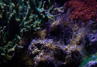 IMG_7543.jpg