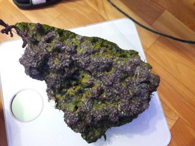 20170318_021853.jpg