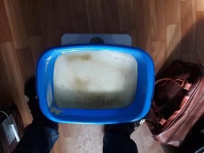 20170317_115117.jpg