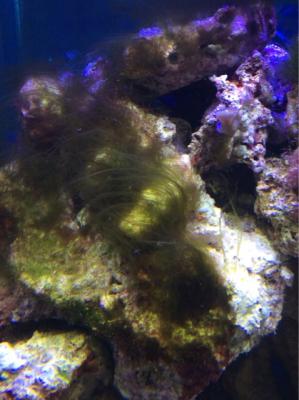 IMG_0515.JPG