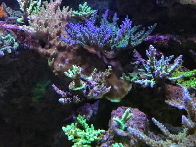 IMG_9800.JPG