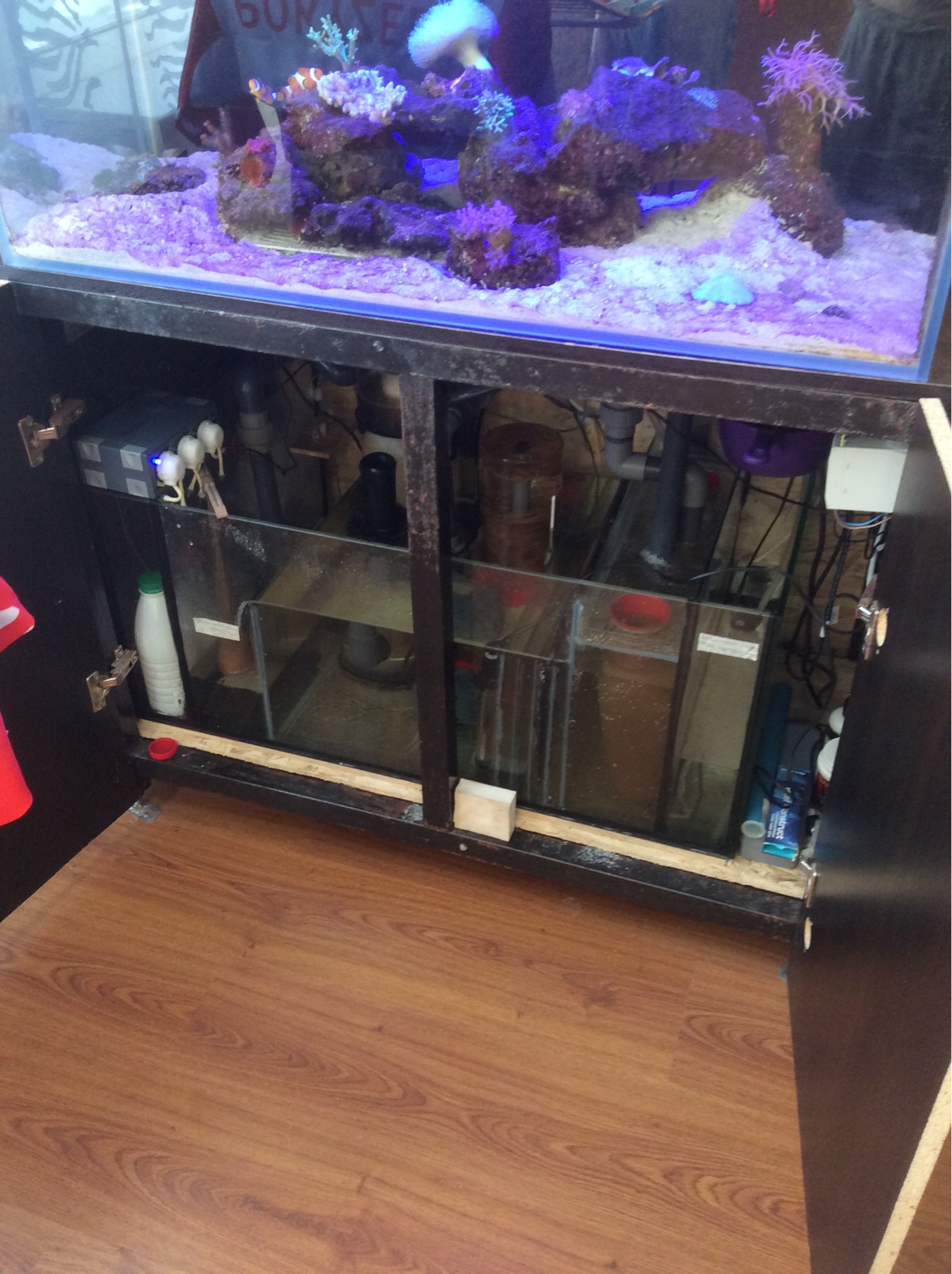 аквариумная барахолка