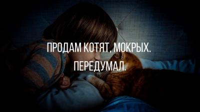 185663c5-b034-49e9-b631-8c8318cb185a.jpg