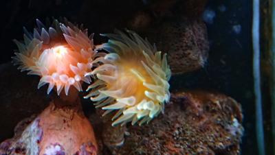 P3243741_новый размер.JPG