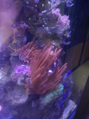 акт без отс.jpg