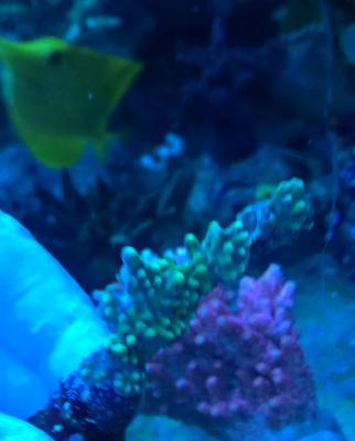 WP_20190330_11_29_46_Pro.jpg