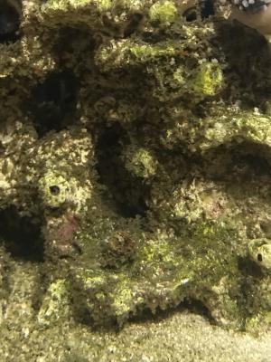 IMG_8088.JPG