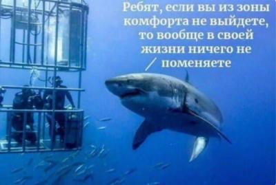 Снимок2.JPG