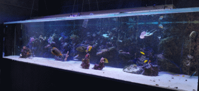 20210308_132323-ANIMATION.gif