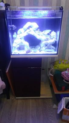 IMG_20210313_114624.jpg