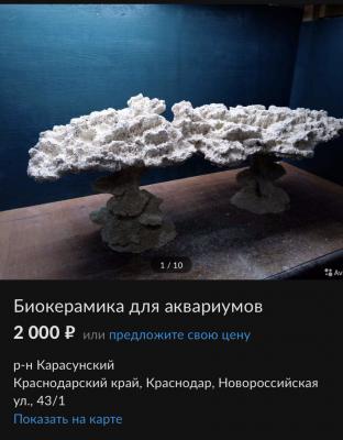 Image1646678545.158339.jpg