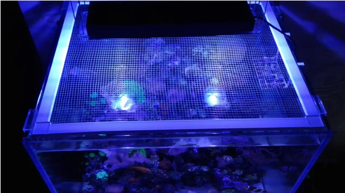Сетка на аквариум - БАРАХОЛКА - Морской аквариум. Форумы ReefCentral.ru