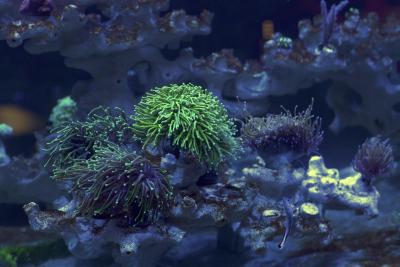 Копия IMGL3075.jpg