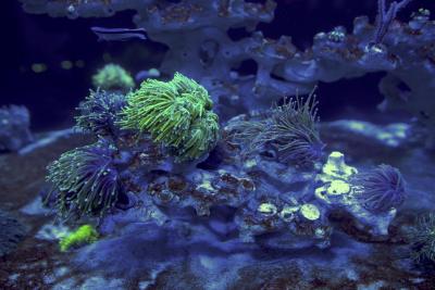 IMGL3065 — копия 2.jpg