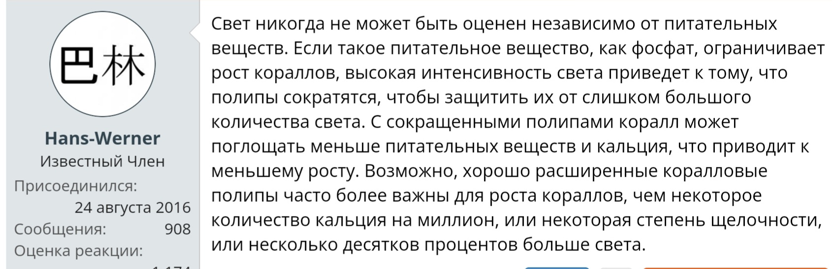 Банка на просвет. - Страница 13 - Мой морской аквариум - Морской аквариум.  Форумы ReefCentral.ru - Страница 13