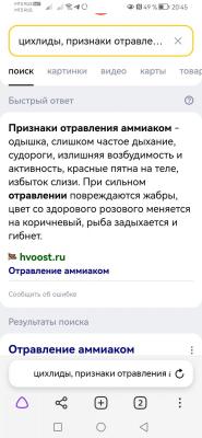 Screenshot_20230307_204526_com.yandex.browser.jpg