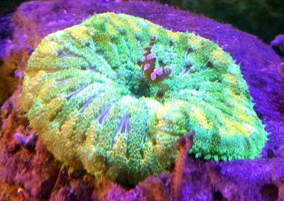 IMG_20250325_192644.jpg