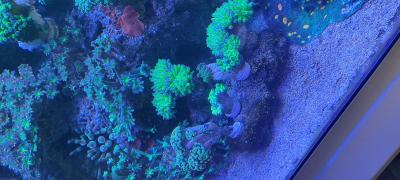 IMG_20250122_100334.jpg