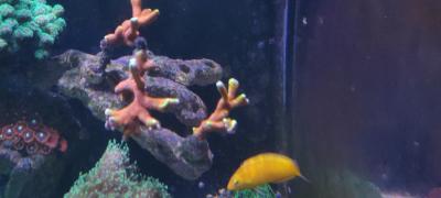 IMG_20250324_160407_2.jpg