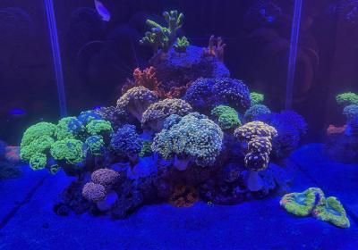 IMG_20250305_121020.jpg